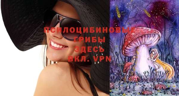 ECSTASY Иннополис