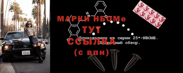 ГАЛЛЮЦИНОГЕННЫЕ ГРИБЫ Инсар