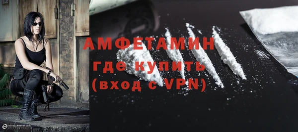 ГАЛЛЮЦИНОГЕННЫЕ ГРИБЫ Инсар