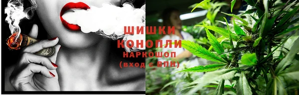 ГАЛЛЮЦИНОГЕННЫЕ ГРИБЫ Инсар
