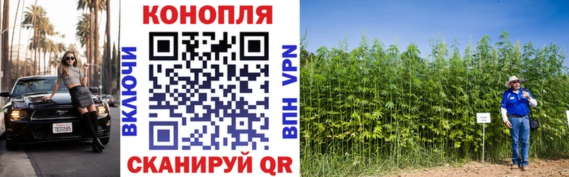 Марихуана MAZAR  Купить где  Изобильный 